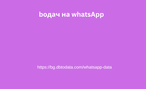 bодач на WhatsApp