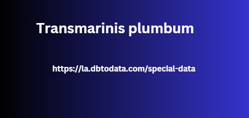 Transmarinis plumbum