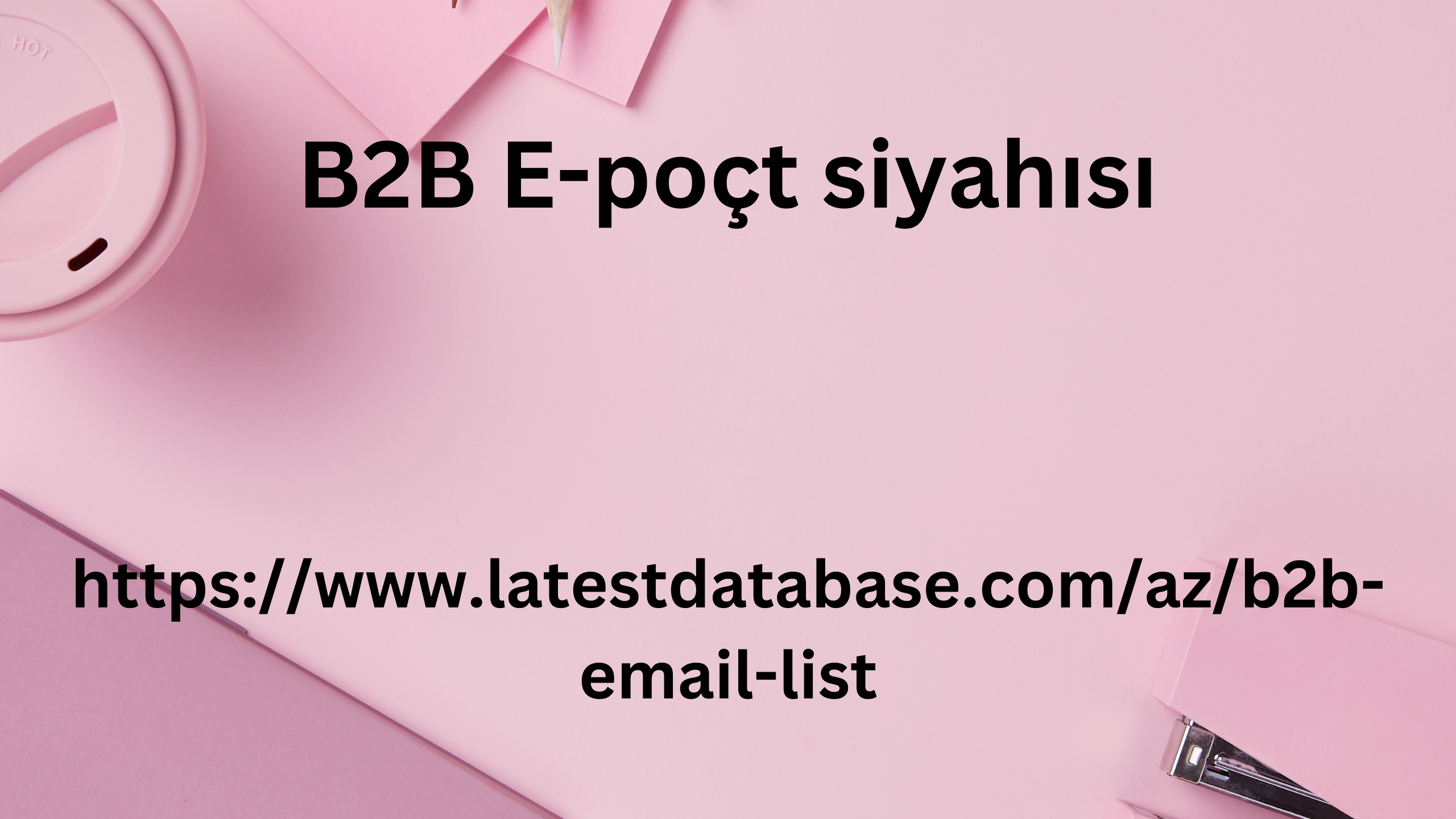 B2B E-poçt siyahısı 