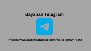 Bayanan Telegram