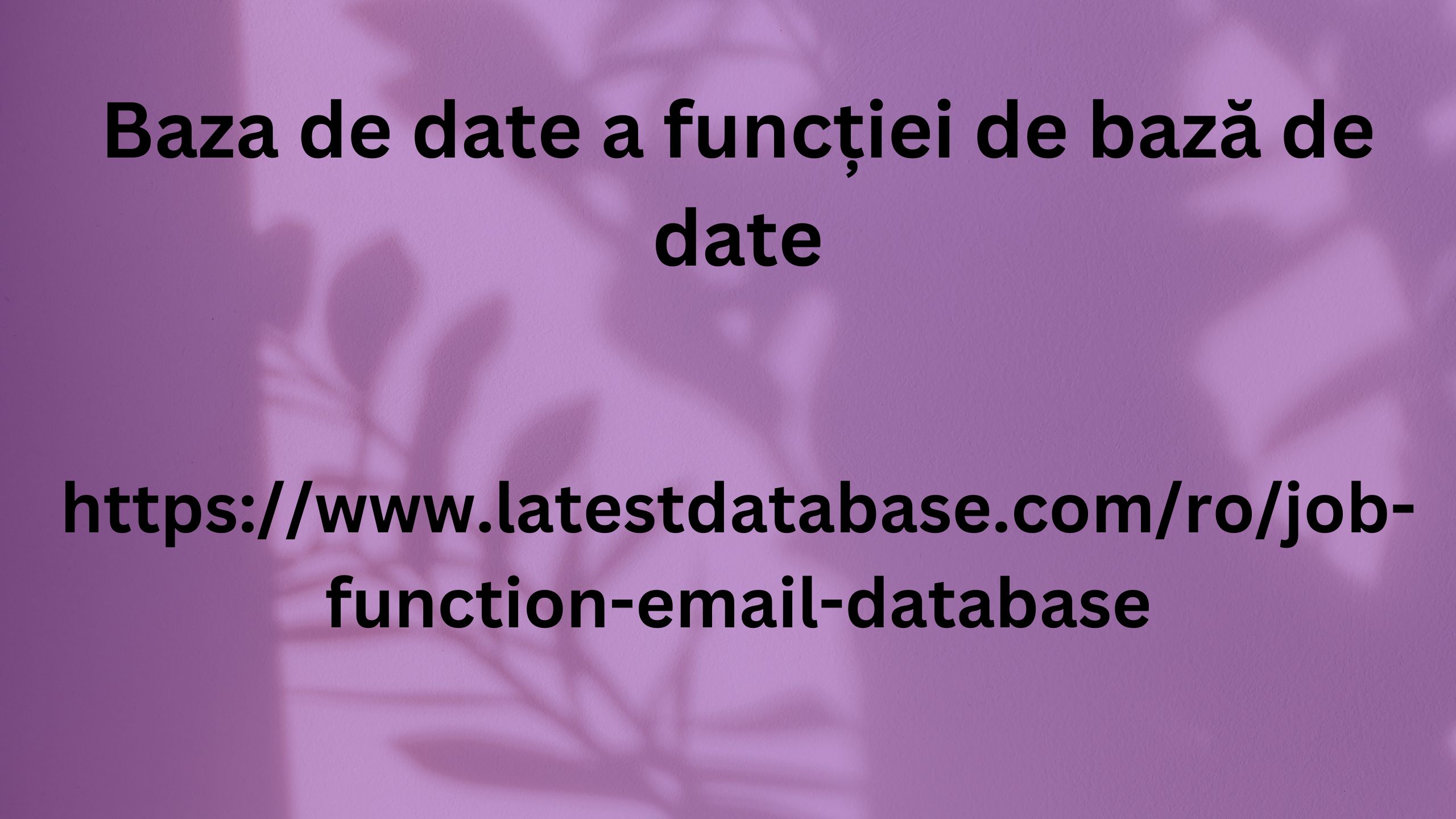 Baza de date a funcției de bază de date 