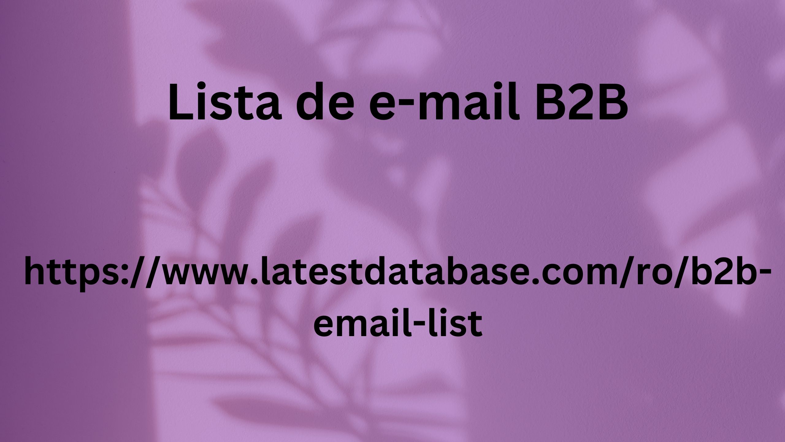 Lista de e-mail B2B 