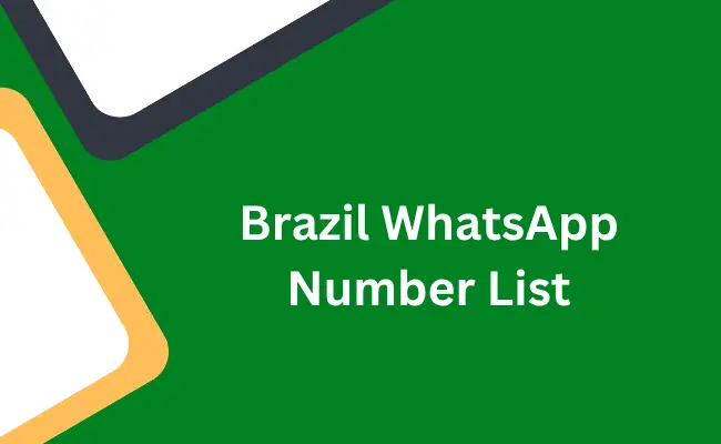 Brazil whatsapp number list